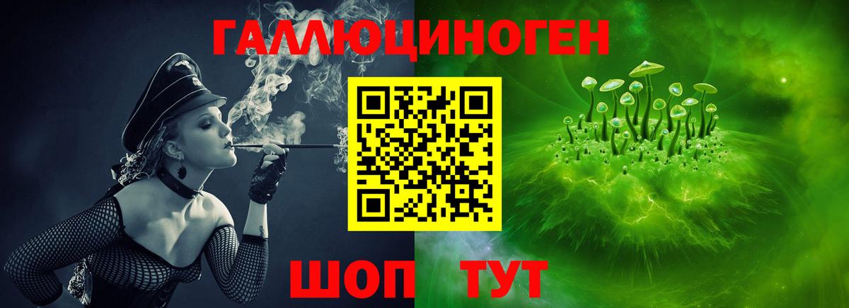 Псилоцибиновые грибы мицелий Моршанск
